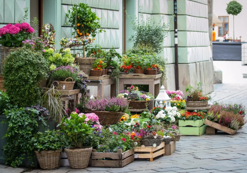 Le Fleuriste et les Pots de Fleurs