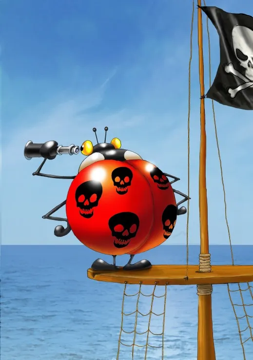 François Ruyer - Coccinelle Pirate