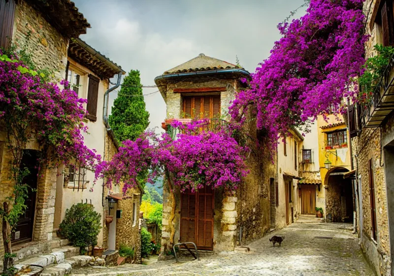 Provence, France