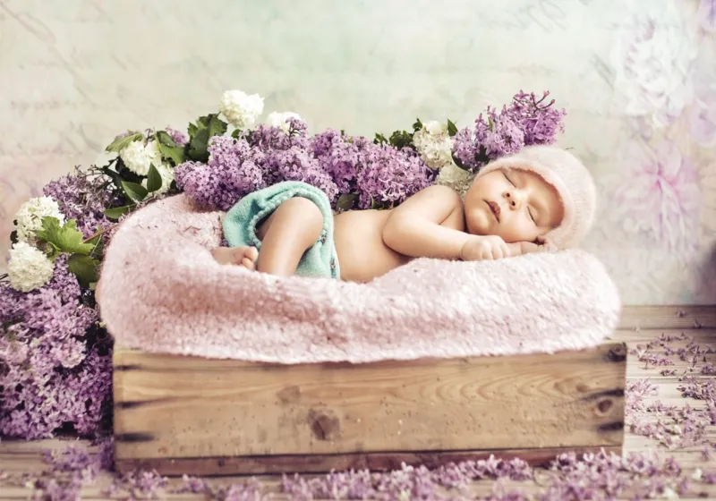 Konrad Bak: Baby sleeping in the Lilac