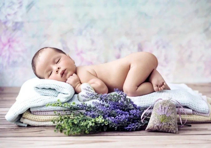Konrad Bak: Baby Lavender