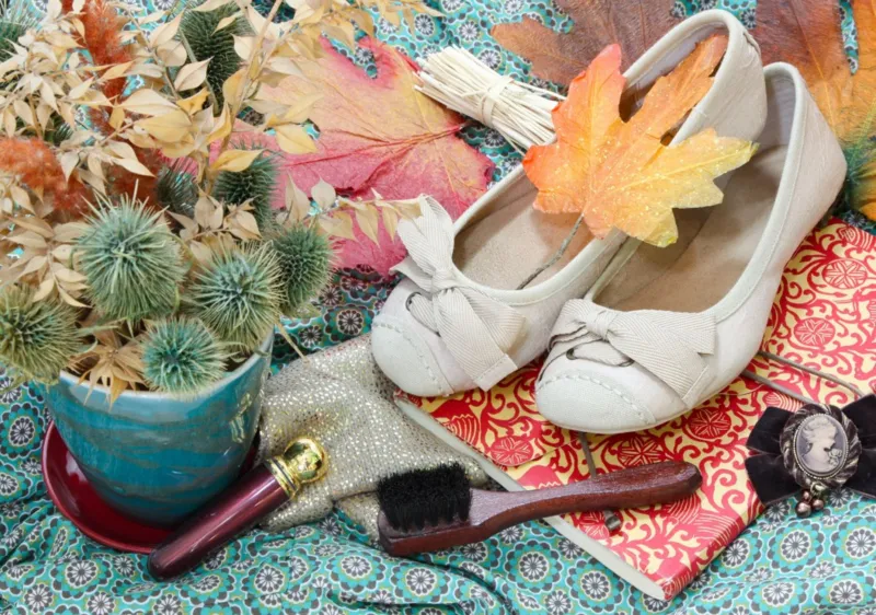 Vintage Dancing Shoes