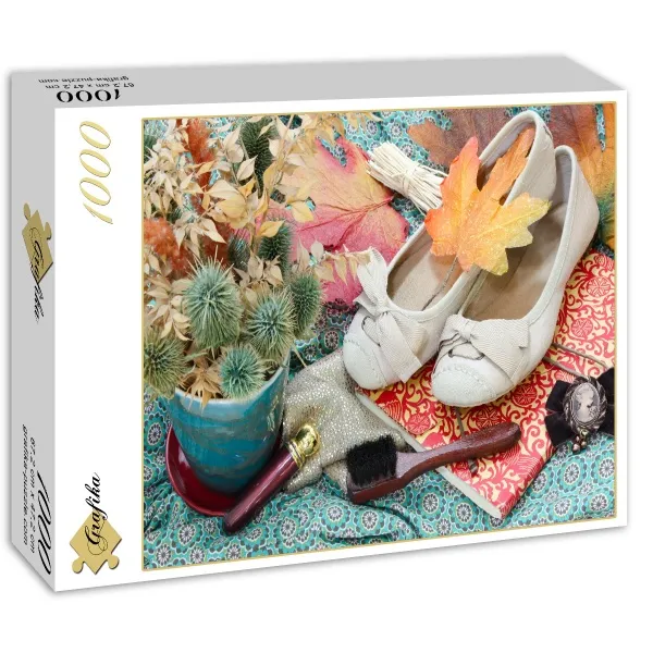 Vintage Dancing Shoes