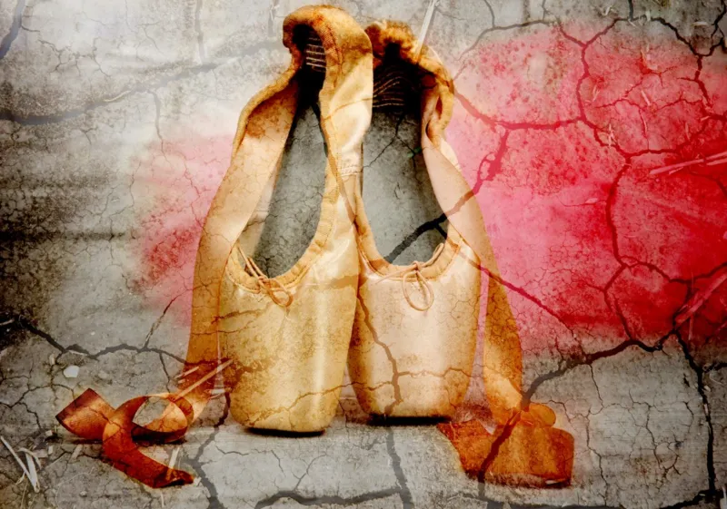 Vintage Ballet Shoes