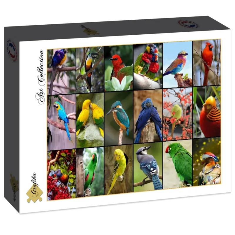 Collage - Oiseaux Colorés