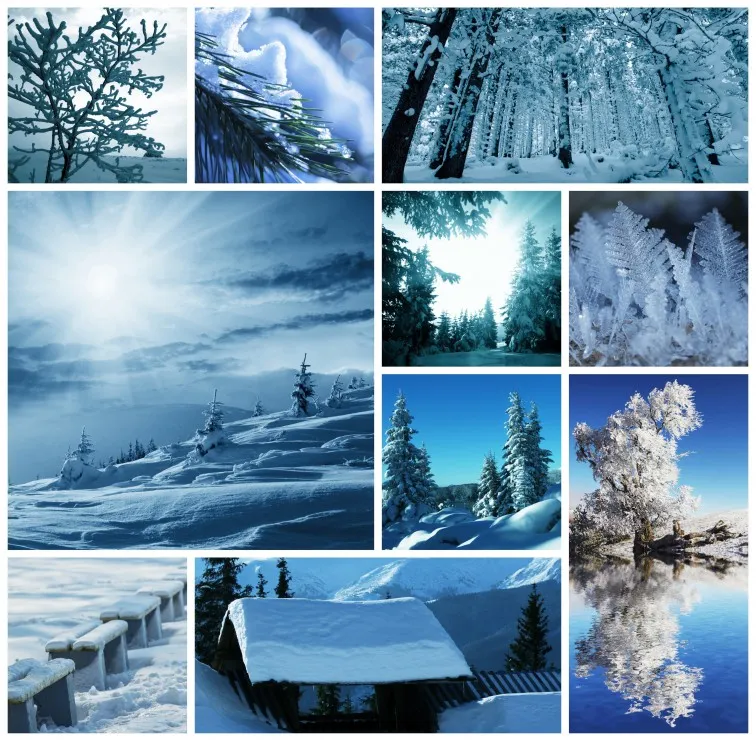 Collage Neige