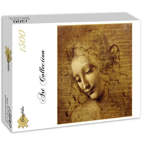 Léonard de Vinci : Visage de Giovane Fanciulla, 1508