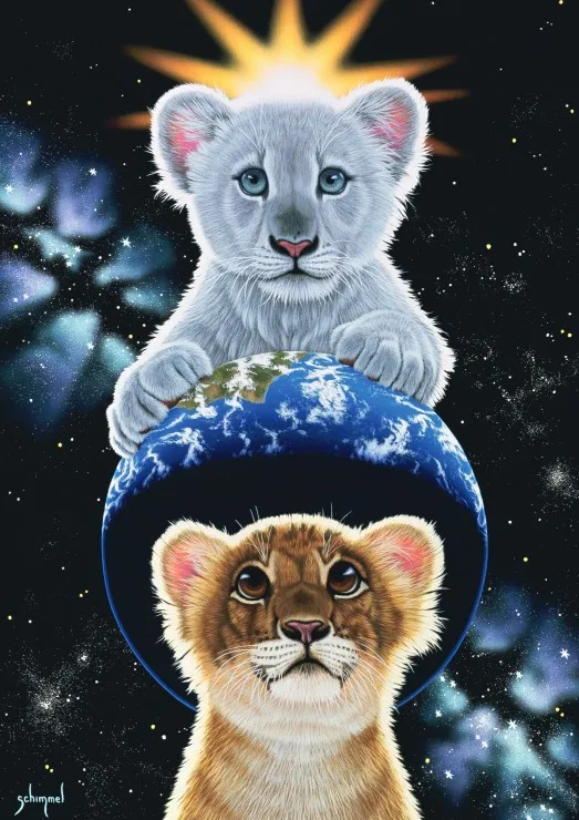 Schim Schimmel - The very few