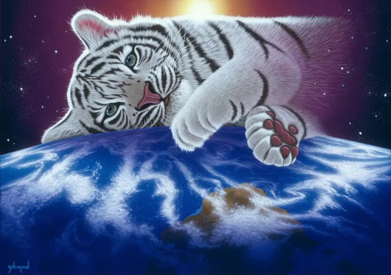 Schim Schimmel - Cuddle Time