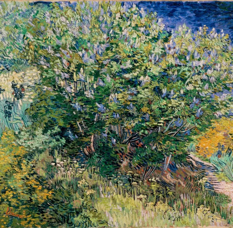 Vincent Van Gogh - Lilas, 1889