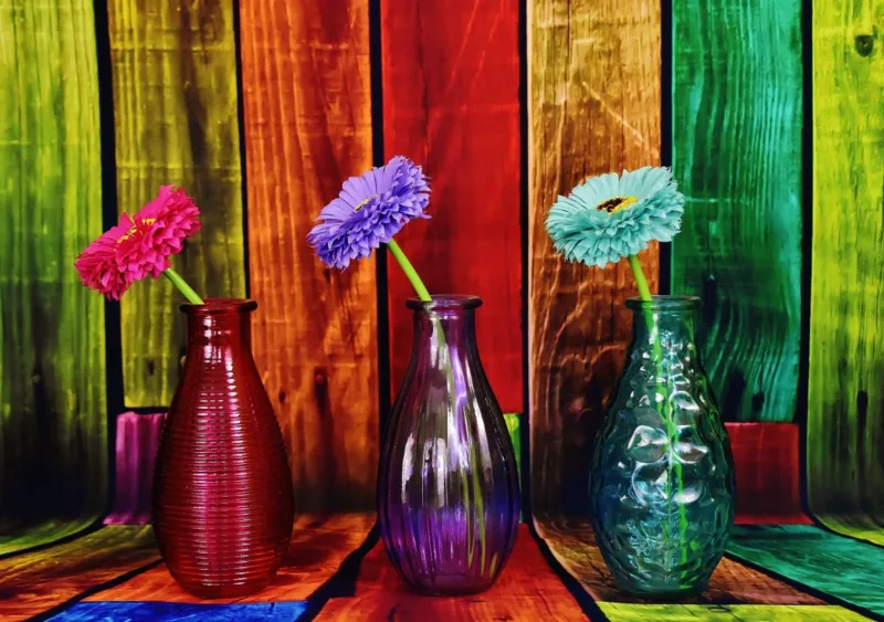 Vases Fleuris et Colorés