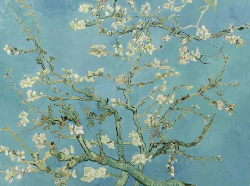 Vincent Van Gogh - Amandier en Fleurs, 1890