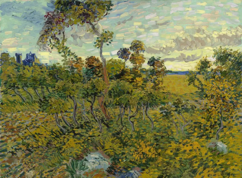 Vincent Van Gogh - Coucher de Soleil à Montmajour, 1888