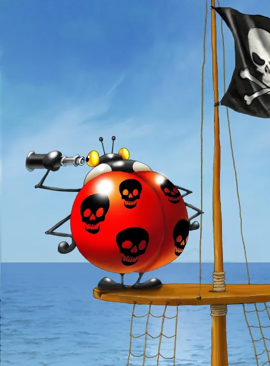 François Ruyer - Coccinelle Pirate