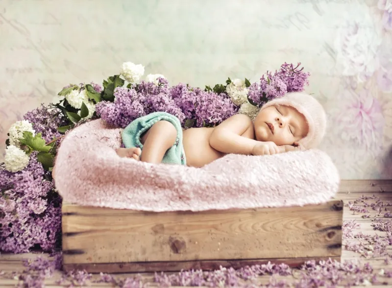 Konrad Bak: Baby sleeping in the Lilac