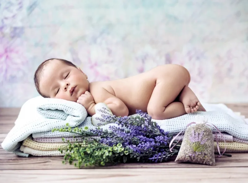 Konrad Bak: Baby Lavender