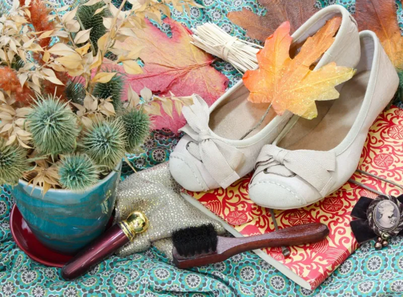 Vintage Dancing Shoes