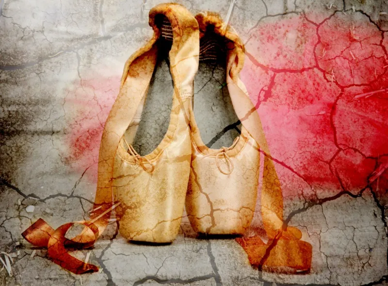 Vintage Ballet Shoes