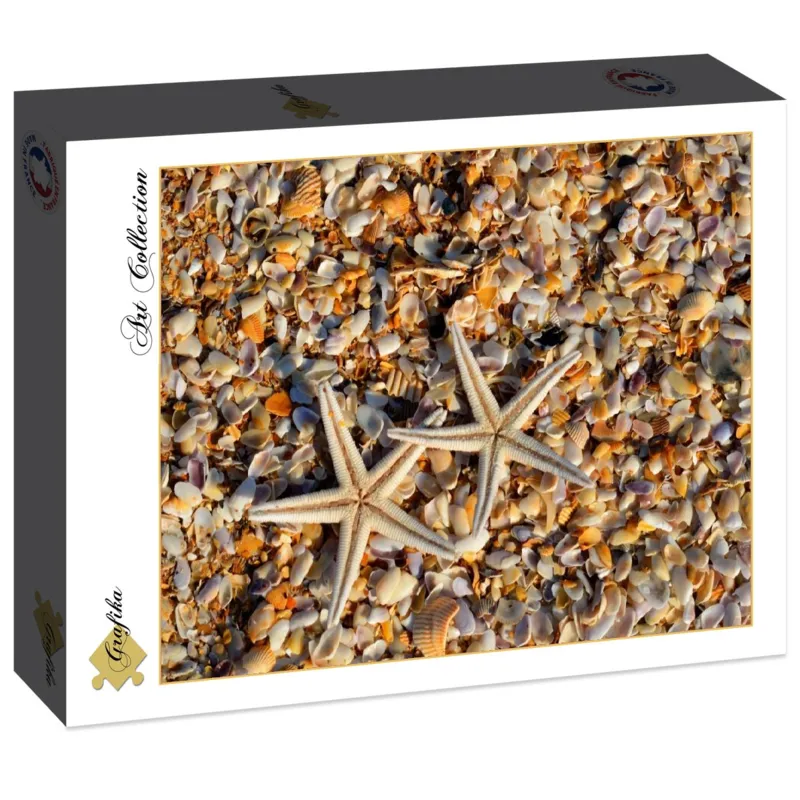 Coquillages et Etoiles de Mer