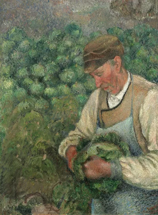 Camille Pissarro : Le Jardinier - Vieux Paysan avec Chou, 1883-1895