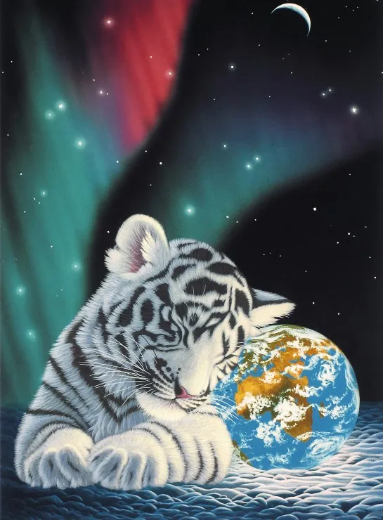 Schim Schimmel - Earth Light