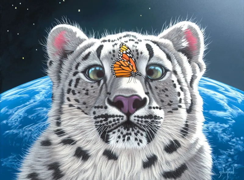 Schim Schimmel - Rest Stop