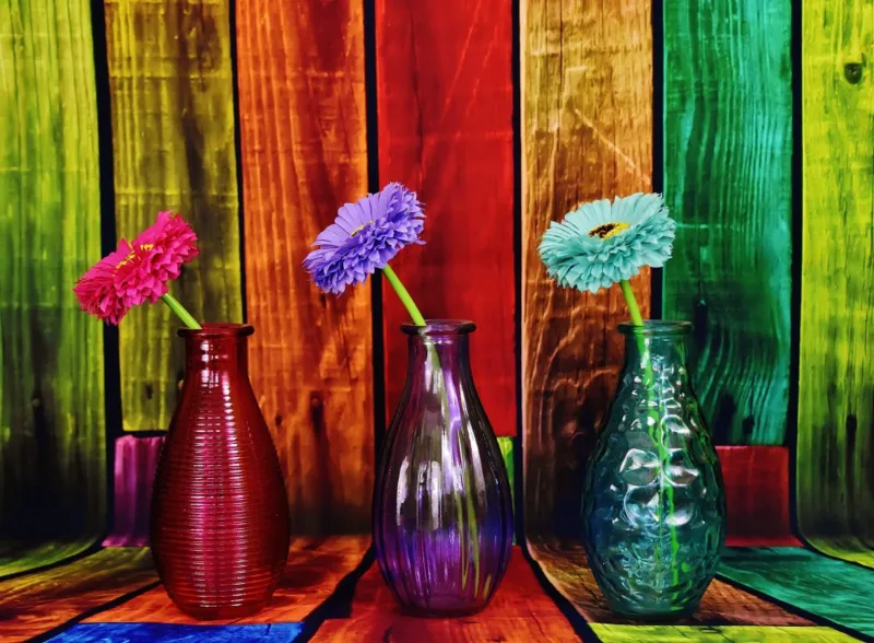 Vases Fleuris et Colorés
