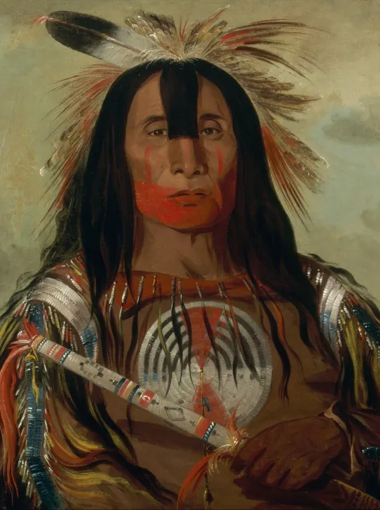 George Catlin : Stu-mick-o-súcks, Buffalo Bull's Back Fat, Head Chief, Blood Tribe, 1832