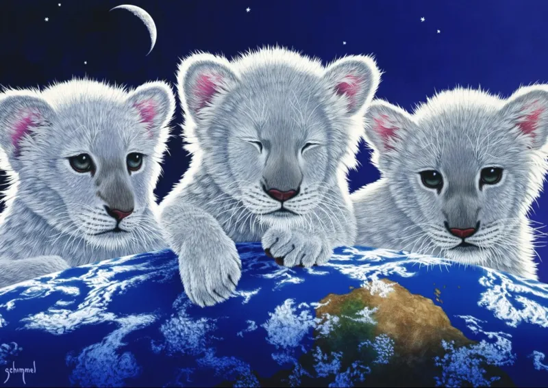 Schim Schimmel - Secret, Mystery and Hope