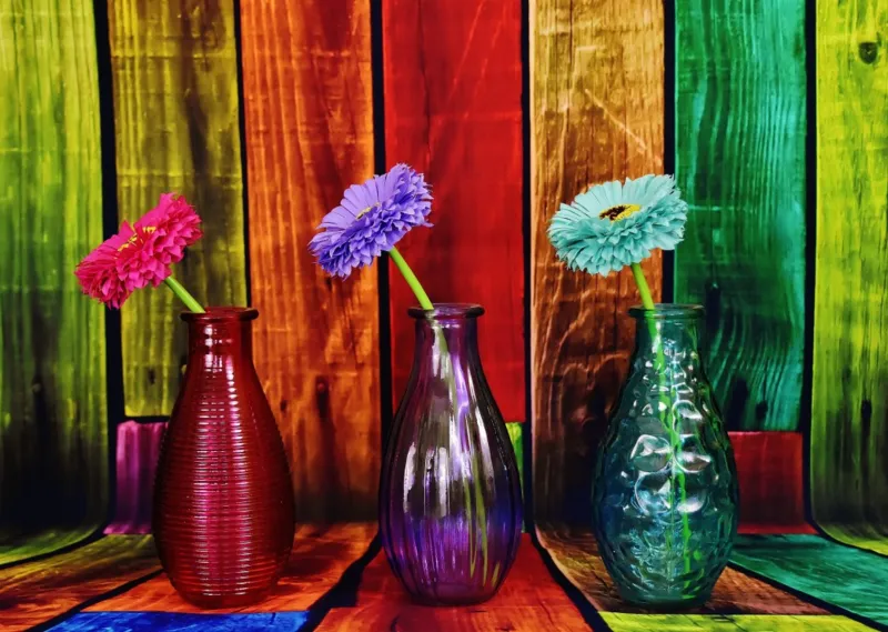 Vases Fleuris et Colorés
