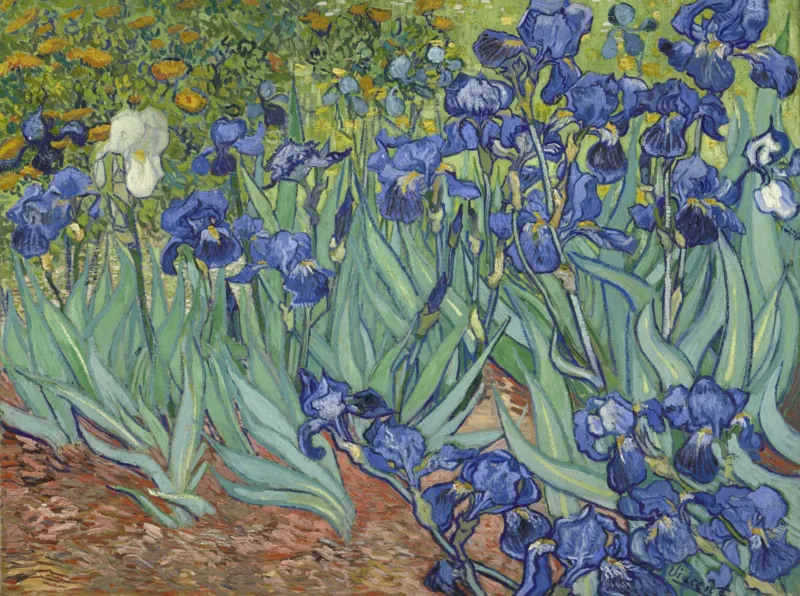 Vincent Van Gogh - Les Iris, 1889
