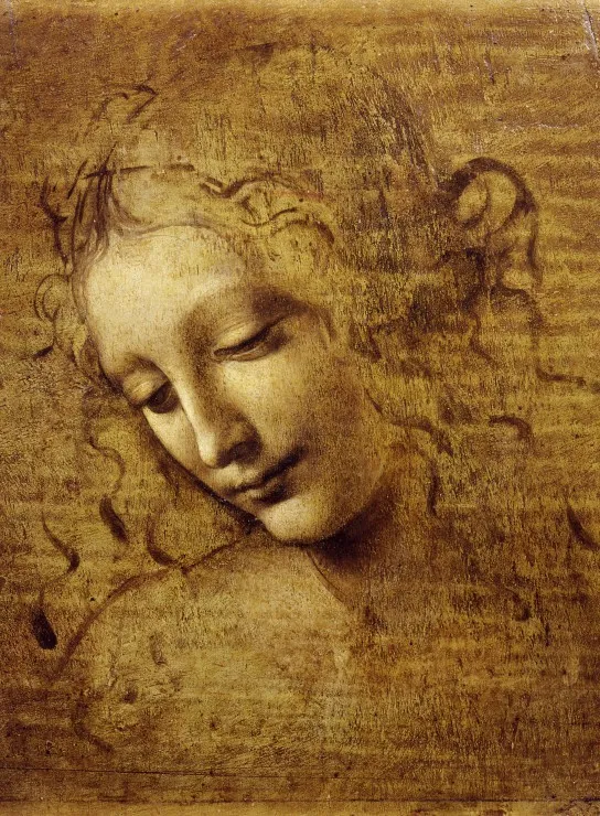 Léonard de Vinci : Visage de Giovane Fanciulla, 1508