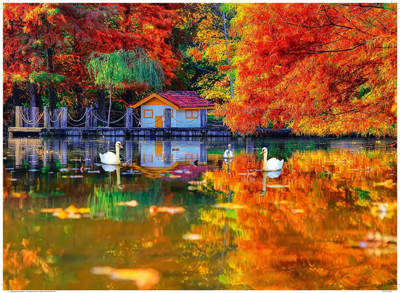 Little House at The Lake