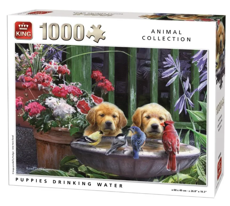 Puppies drinking Water