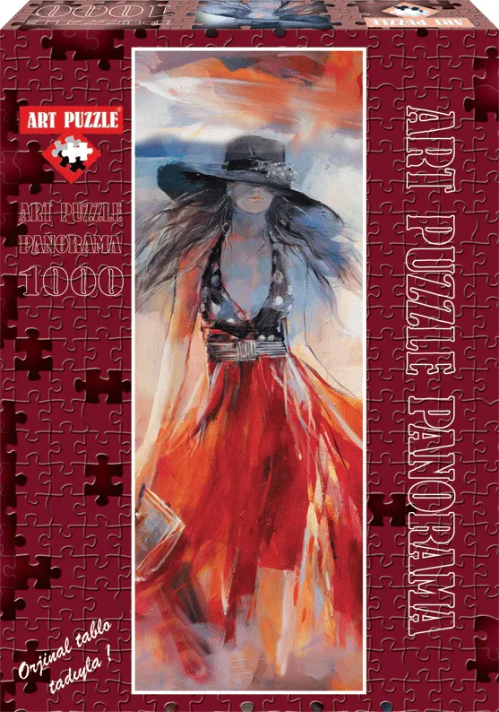 Willem Haenraets : Robe d'Eté