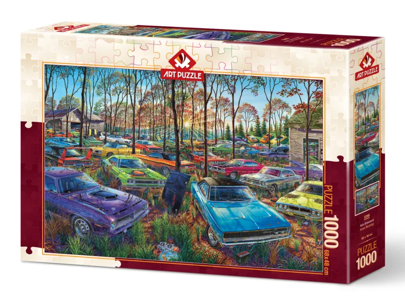 Cimetière de Voiture
