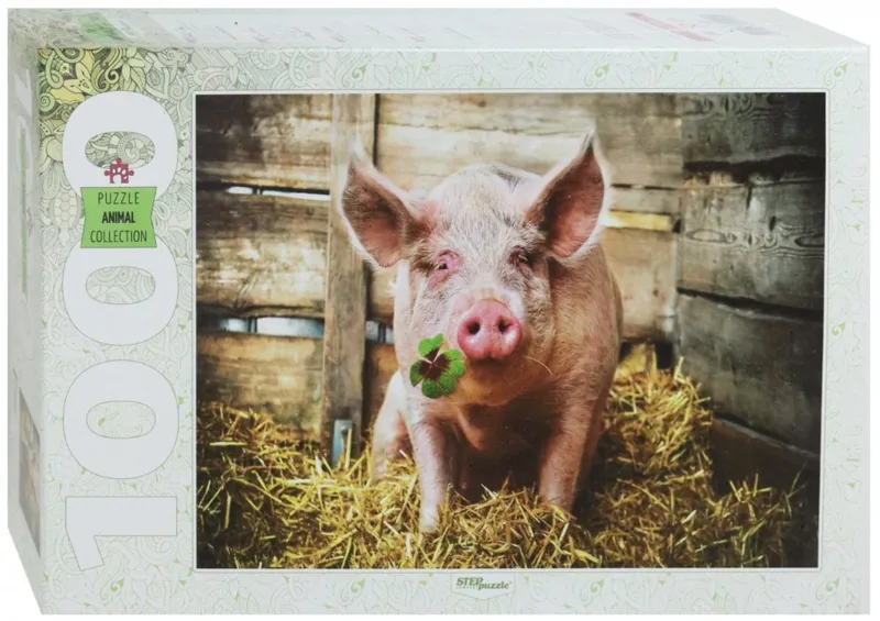 2019, Année du Cochon