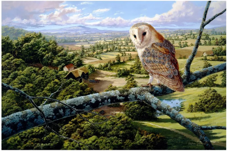 Puzzle en Bois - Barn Owl