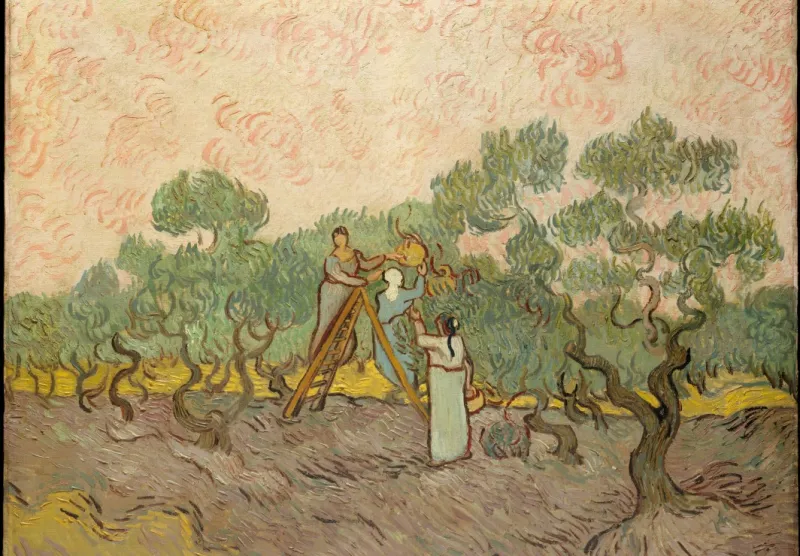 Van Gogh Vincent : Femmes ramassant des Olives, 1889