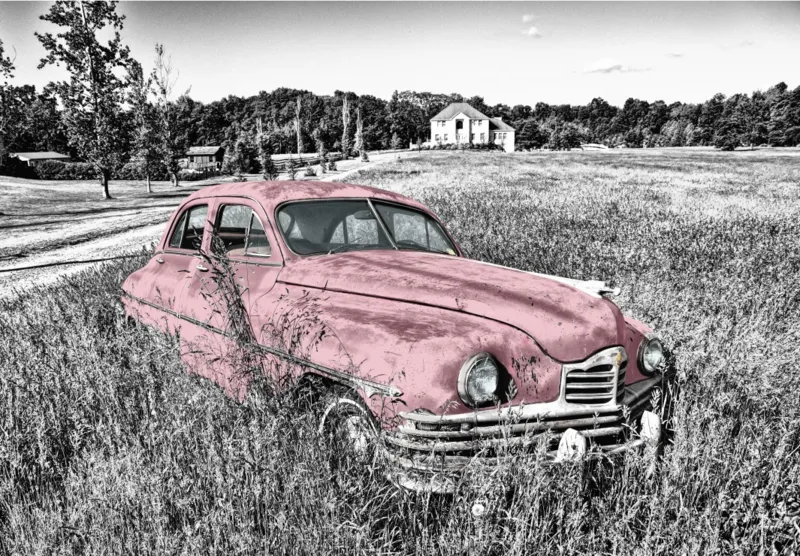 Oldtimer - Rose