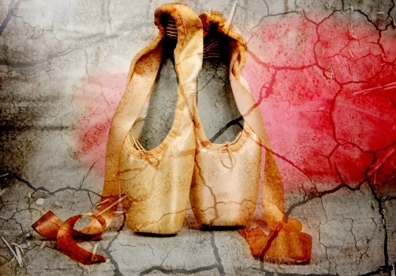 Vintage Ballet Shoes