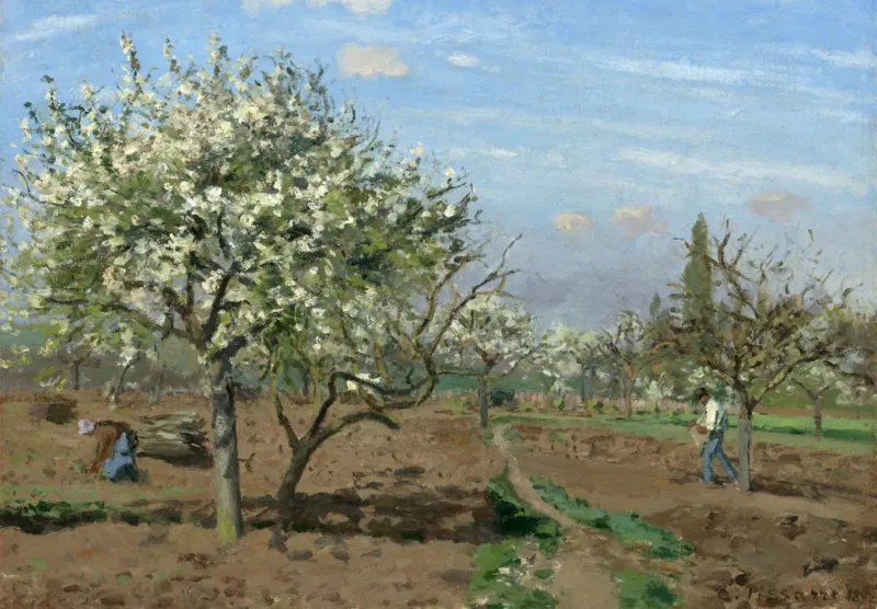Camille Pissarro : Verger en Fleurs, Louveciennes, 1872