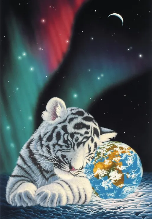 Schim Schimmel - Earth Light