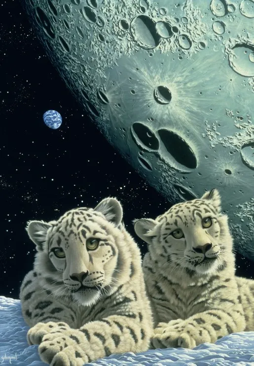 Schim Schimmel - Lair of the Snow Leopard