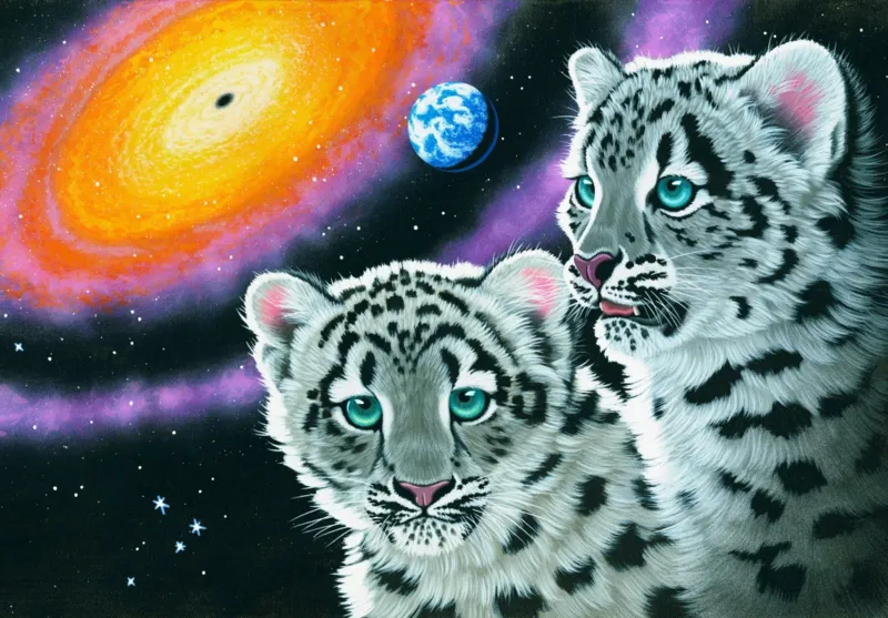 Schim Schimmel - Miracle of the Universe