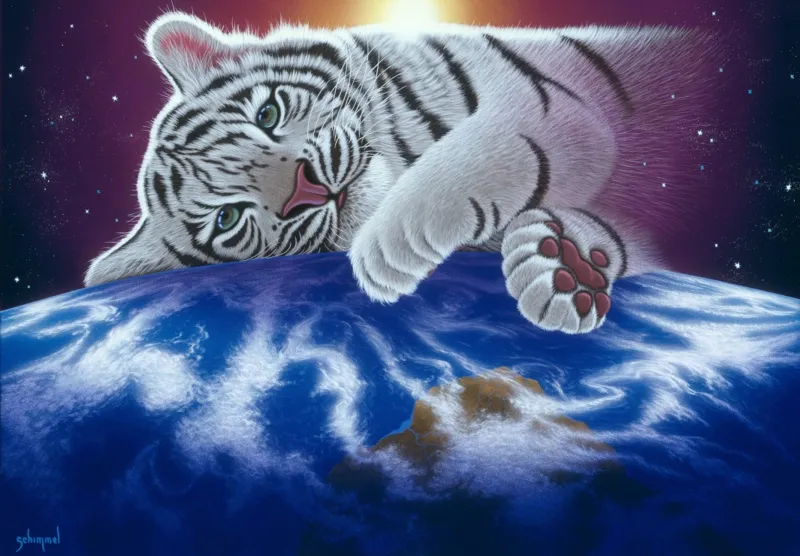 Schim Schimmel - Cuddle Time