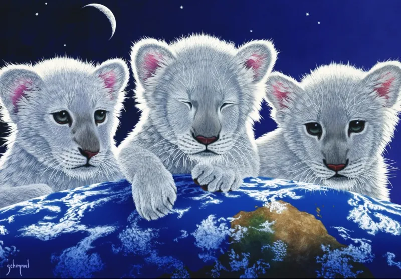 Schim Schimmel - Secret, Mystery and Hope