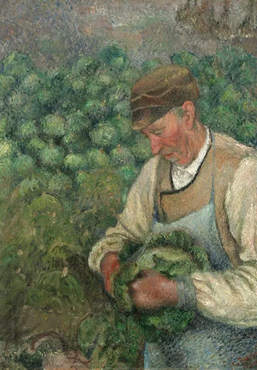 Camille Pissarro: The Gardener - Old Peasant with Cabbage, 1883-1895