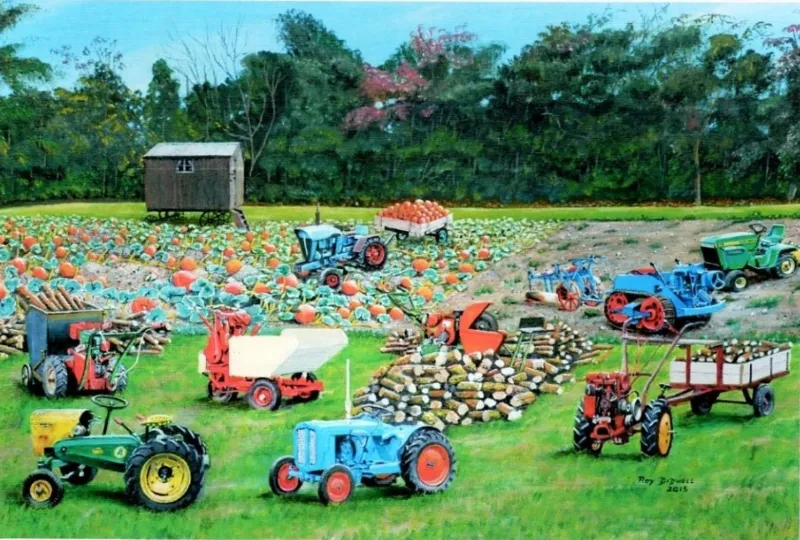 Roy Didwell - The Pumpkin Patch