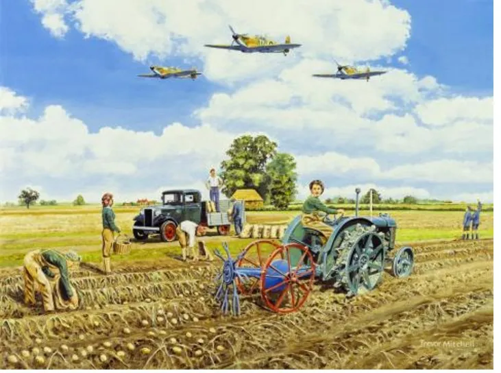 Trevor Mitchell - Dig for Victory